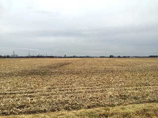 Property photo 17 - LAND AUCTION - 84+/- ACRES IN RUSH COUNTY, INDIANA